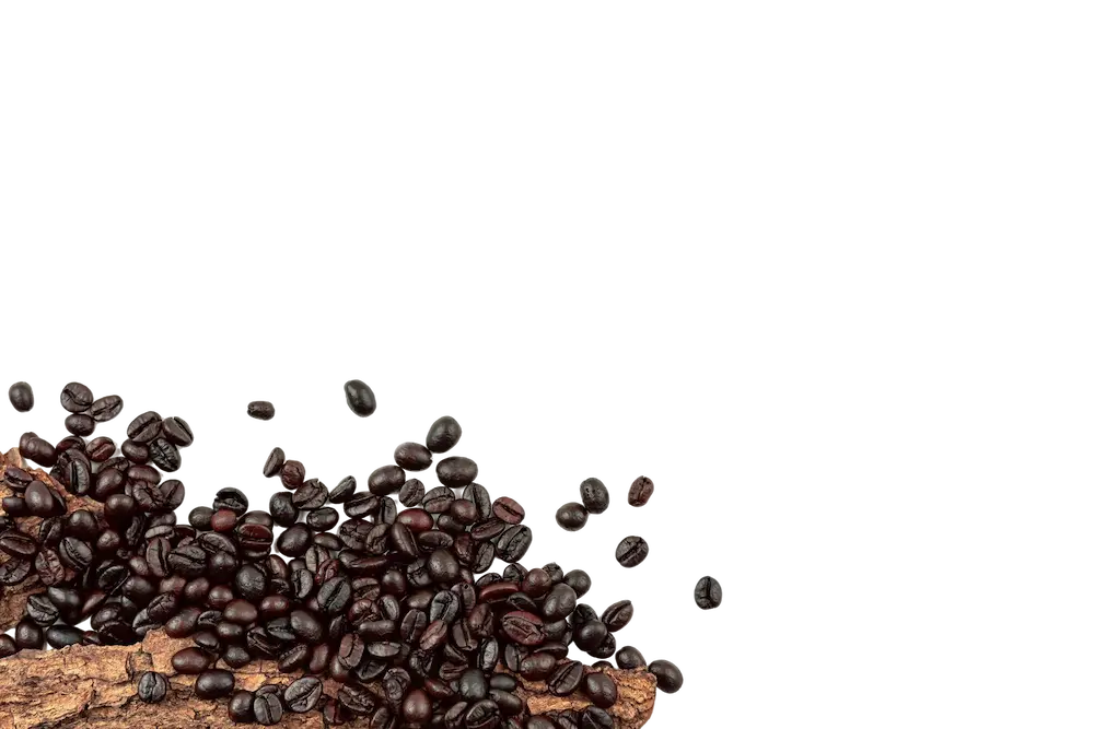 Granos de café decorativos