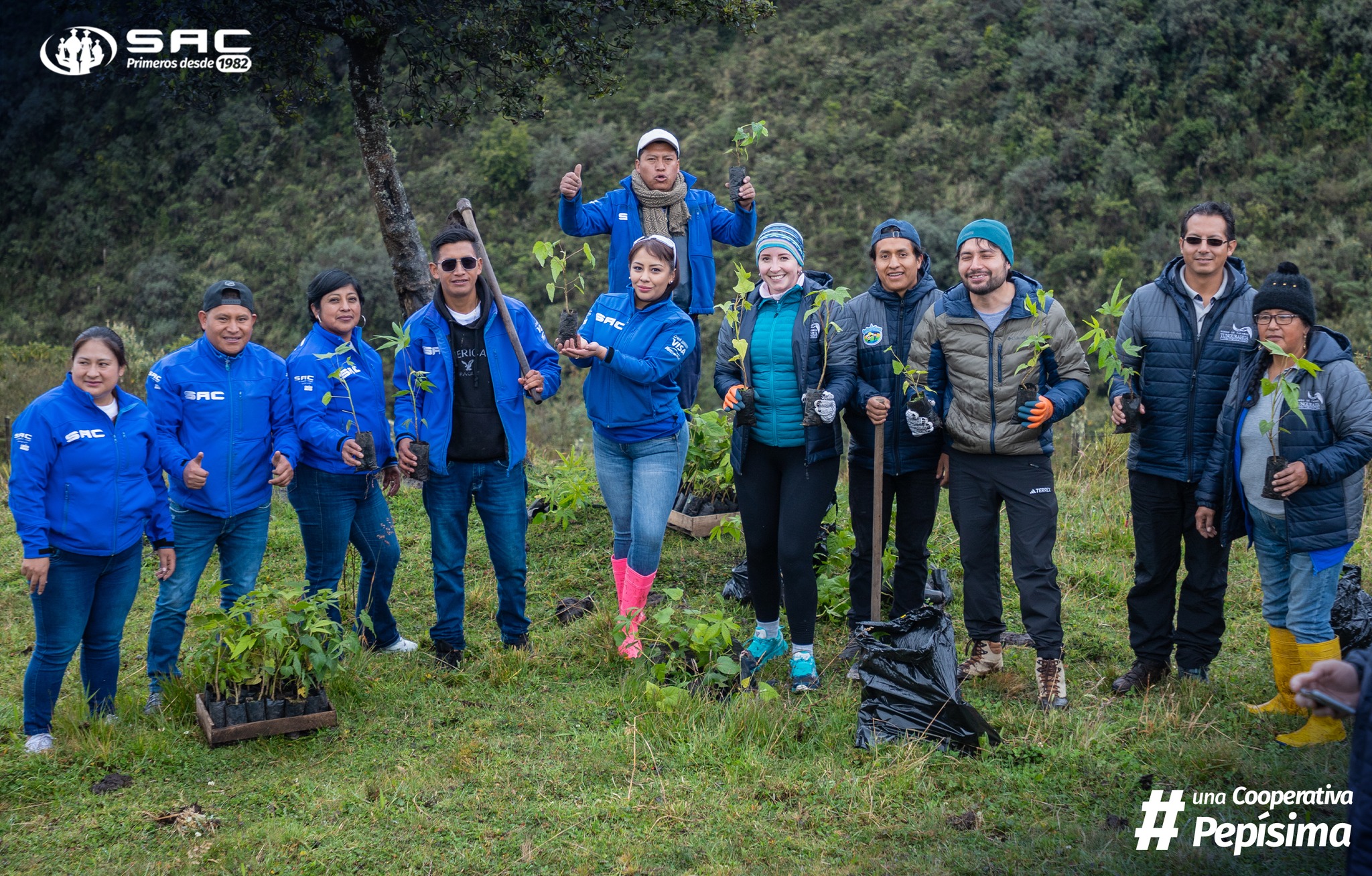 Jornada de reforestación en comunidad