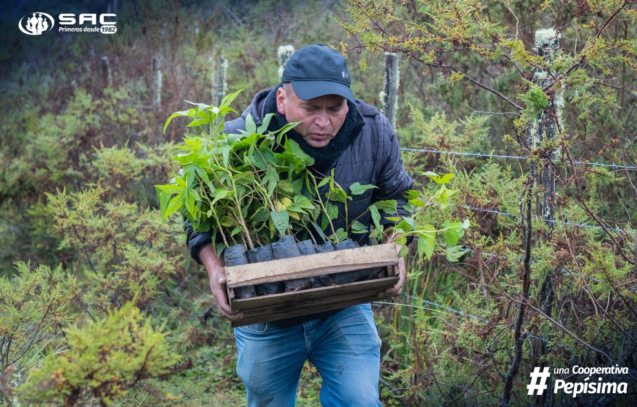 Jornada de reforestación en comunidad