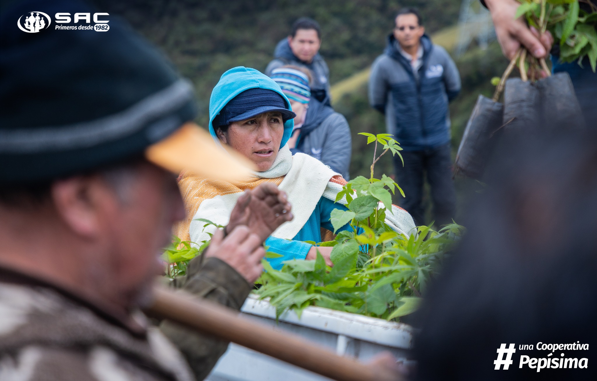 Jornada de reforestación en comunidad