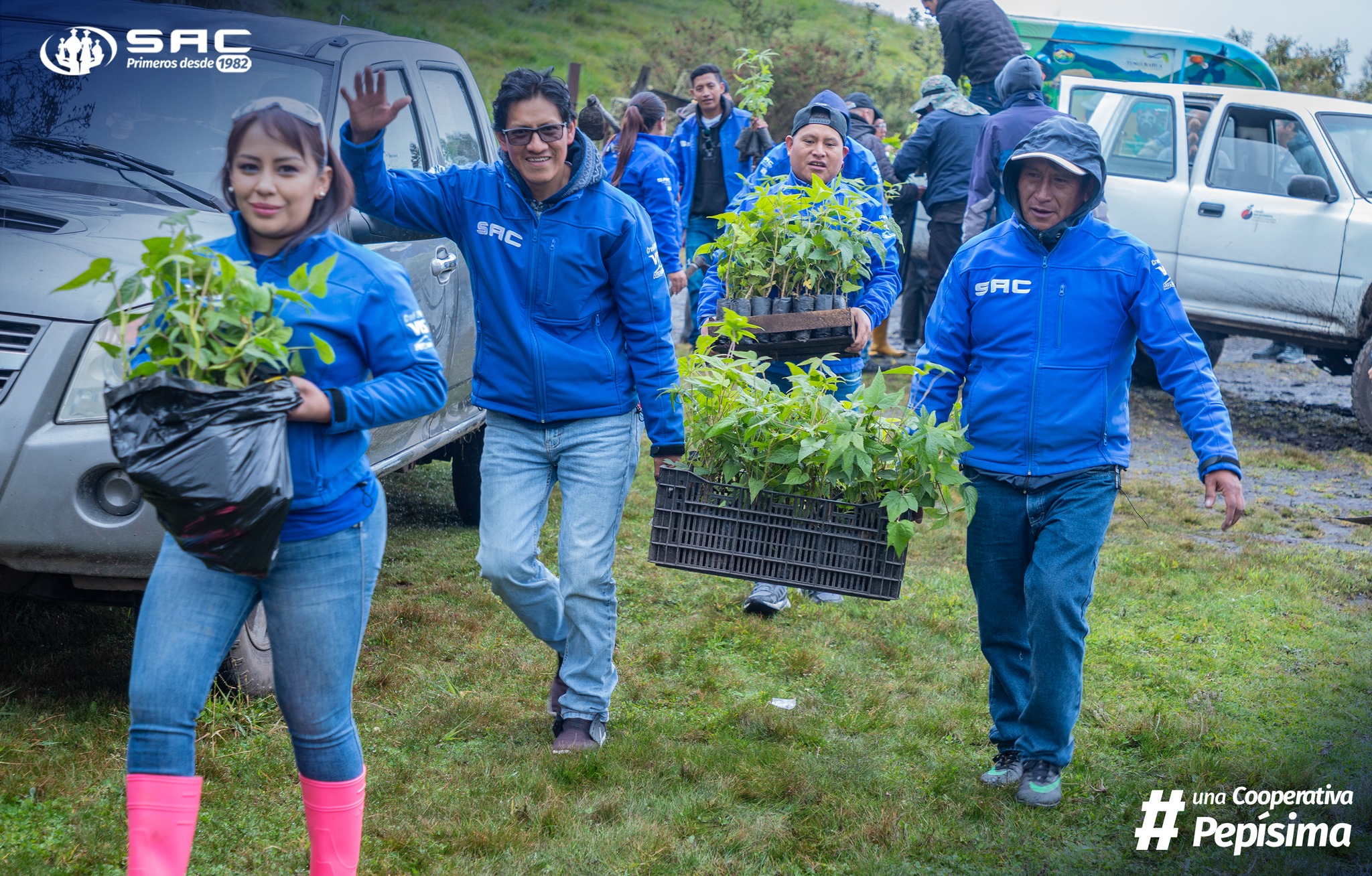 Jornada de reforestación en comunidad